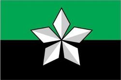 Официальный флаг Соледара